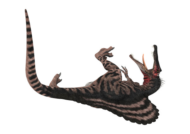 3D渲染恐龙棘龙在白色图片下载