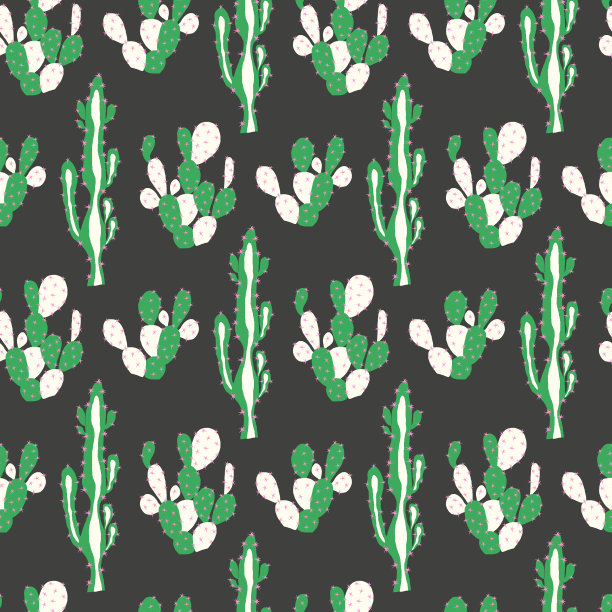 无缝矢量模式与仙人掌和花。可爱多汁的仙人掌背景图片下载
