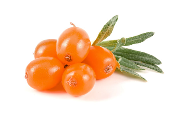 沙棘。新鲜成熟的浆果与叶子孤立的白色背景微距图片下载
