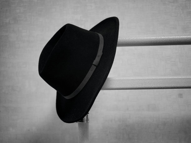 Fedora,帽子,时尚图片下载