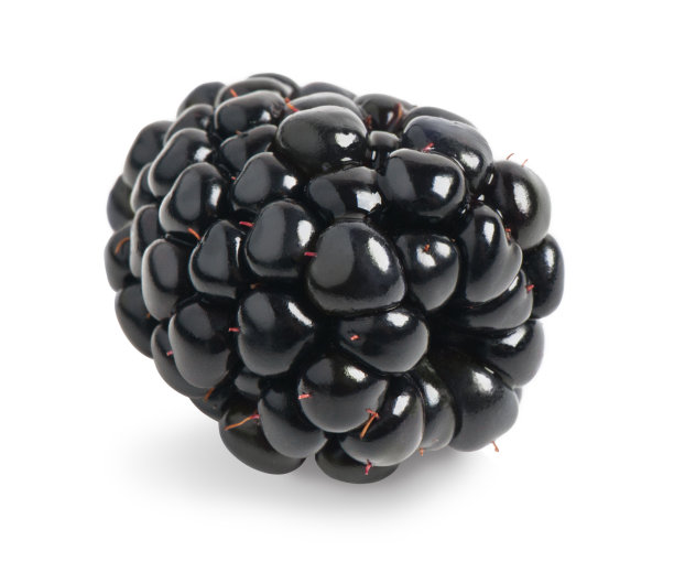 新鲜黑莓孤立图片下载