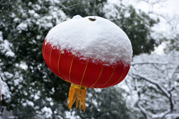 春节风俗图片素材ID：313047240