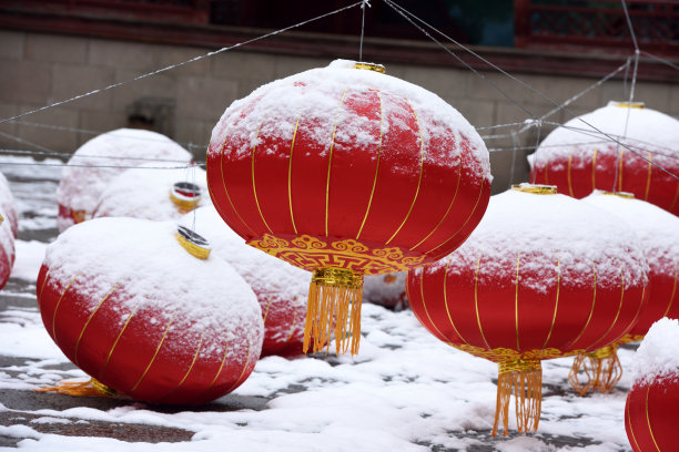 春节风俗图片素材ID：313047408