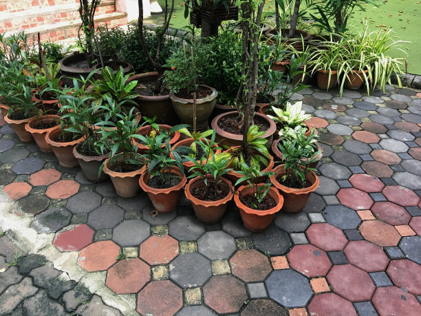 在花园里种一些花盆。图片下载