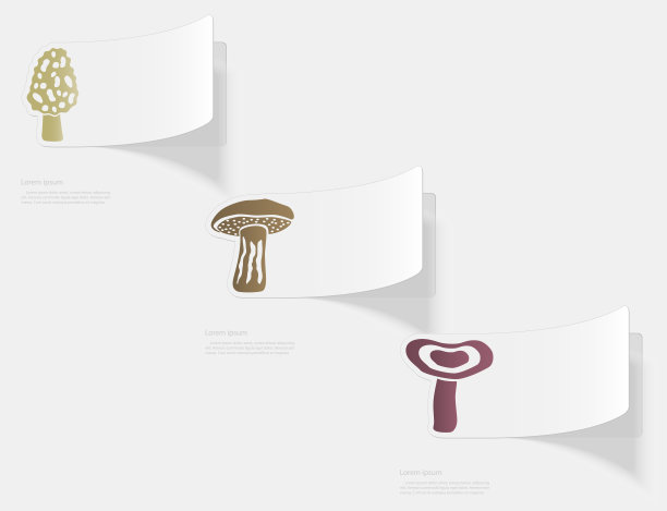 蘑菇。平贴与白色背景上的阴影图片下载