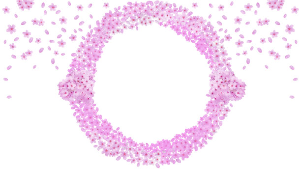 春天、樱花花环与花瓣背景图片（16:9宽高比）图片下载