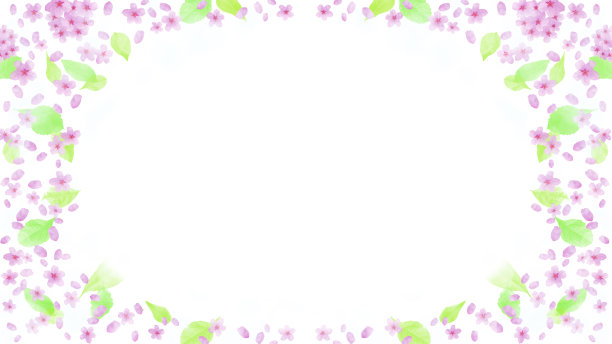 春天，樱花和花瓣背景图片 (16:9)图片下载