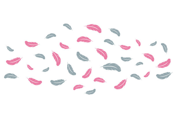 鸟羽毛图标矢量插图素材图片