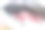 玫瑰图片素材ID：313084902