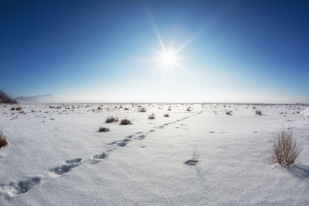 雪山景图片素材ID：313088586