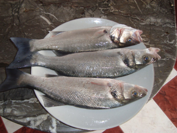泊松/酒吧/苏格兰式跳跃图片下载
