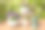 美丽的三色堇夏季花在花园里的花盆图片下载