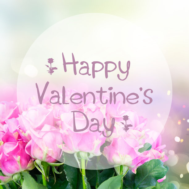 紫罗兰盛开的玫瑰图片下载