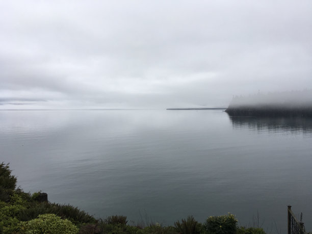普吉特湾的雾和雨图片下载