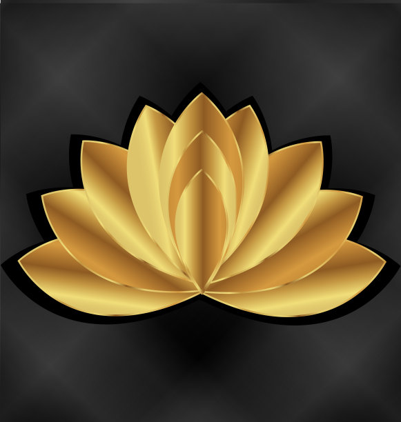 金莲花矢量身份证模板图片下载