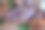 生鱿鱼，罗勒，迷迭香，土豆和蔬菜在木制背景/俯视图/特写图片下载