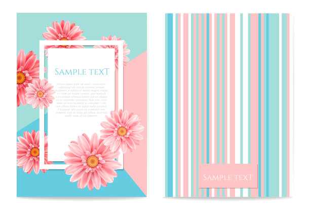 亮粉色背景上的非洲菊花。图片下载