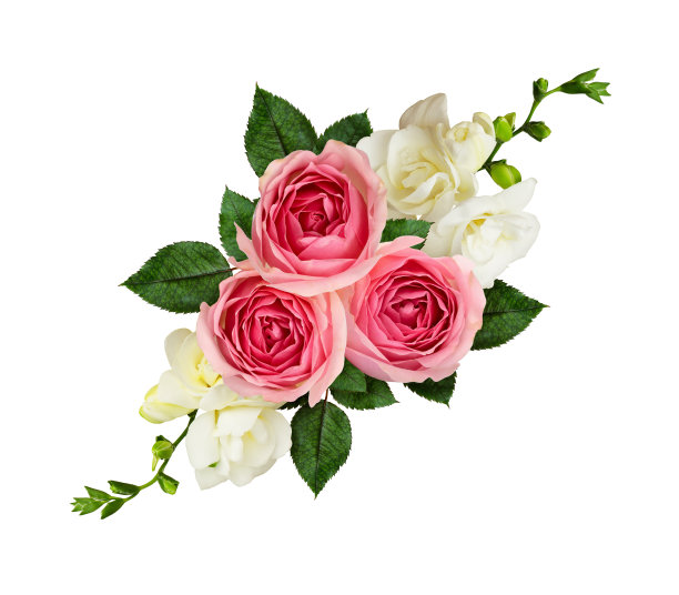 用粉红色玫瑰和小苍兰花装饰的节日装饰图片下载