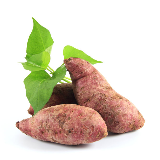 带叶红薯图片下载