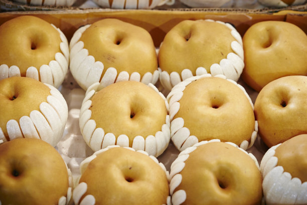 亚洲梨图片下载