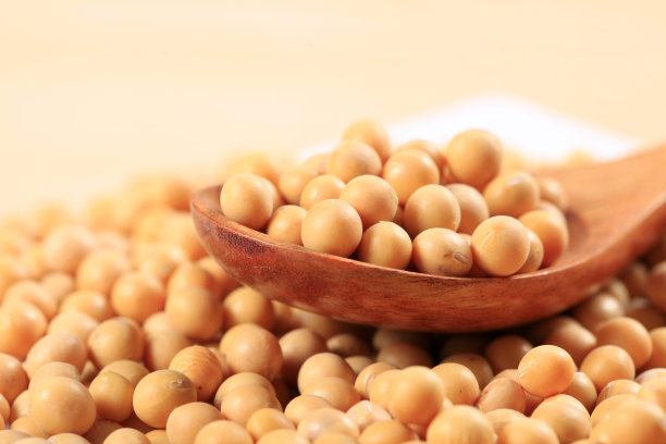 我是bean图片下载