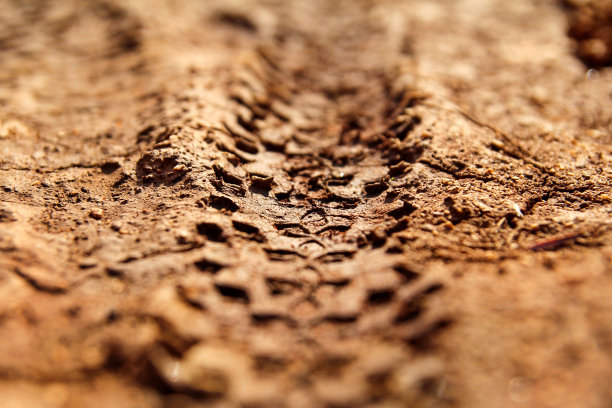 泥泞小路上的自行车轮胎痕迹，车辙背景纹理素材图片下载