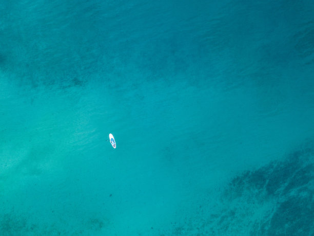 站起来划图片下载