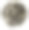 肖夫桥，Sheepstor，英国德文郡，18世纪早期的维多利亚版画图片下载