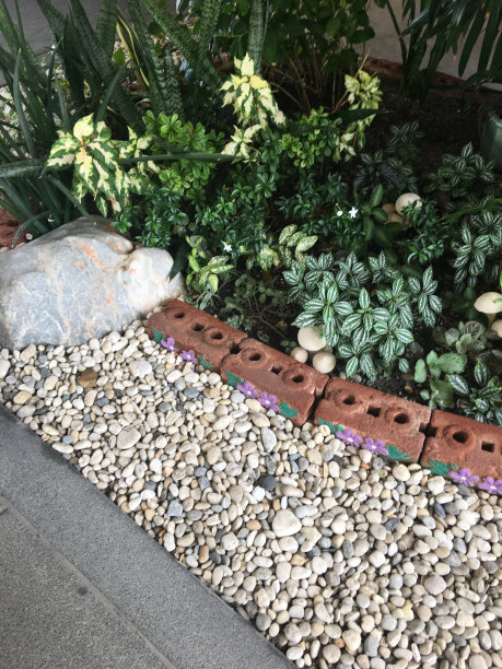 使小路上的石头变得模糊图片下载