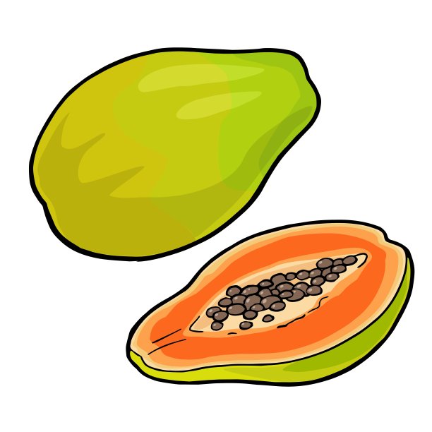 全木瓜和半木瓜。矢量复古雕刻色图片下载