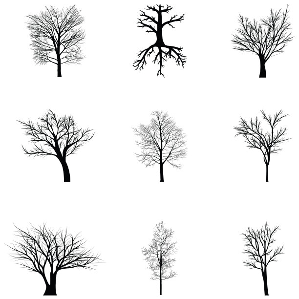 收集树木的剪影图片下载