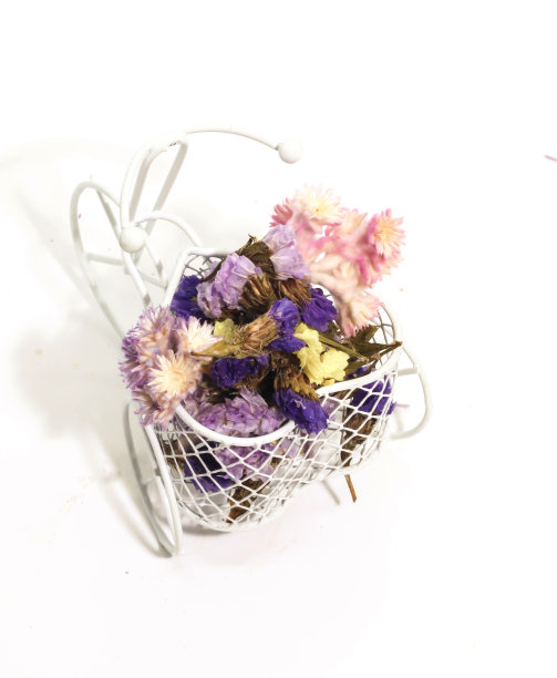 干花的特写与白色的自行车装饰在白色的背景图片下载