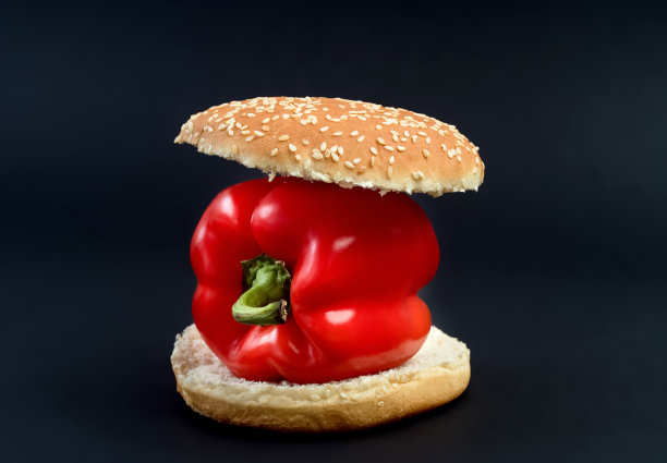 辣椒汉堡或素食汉堡概念图片下载
