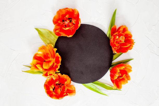 花卉布局与郁金香复制空间图片下载