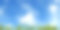 夏季花园特写图像图片下载