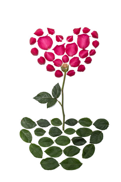 玫瑰的花瓣和叶子排列成花朵和花盆的形状。图片下载