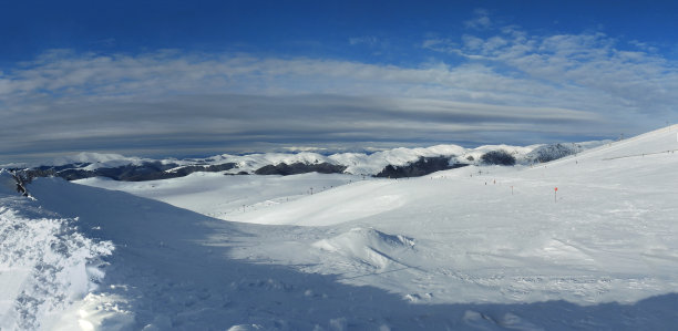 雪地图片素材ID：313212846