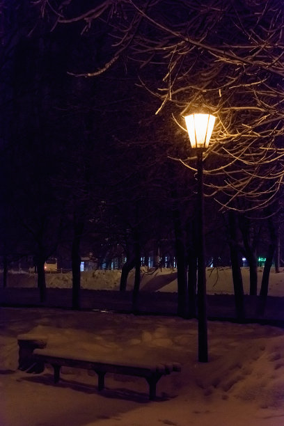 灯笼夜雪树图片下载