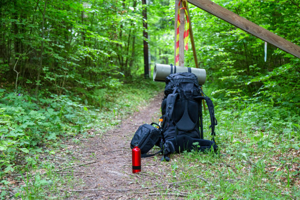 黑色背包站在树林里的徒步小径上图片下载