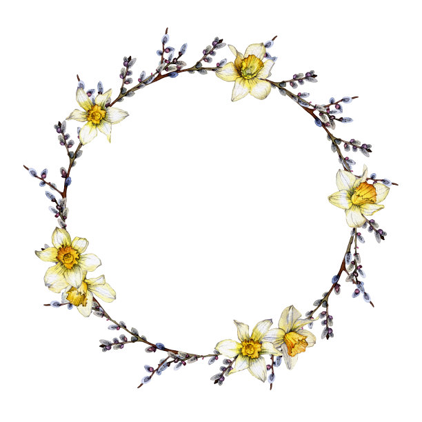 手绘水彩柳枝和水仙花环图片下载