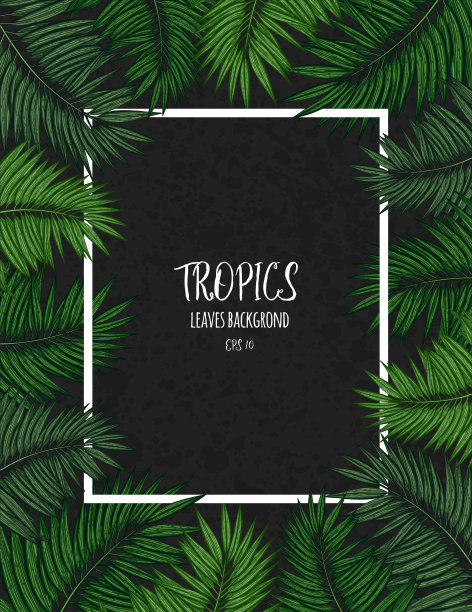 绿色花框架与热带叶。植物设计模板的婚礼邀请，贺卡，明信片，网页设计，社会媒体，标签，包装设计，框架报价。图片下载