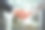 签合同图片素材ID：313225716