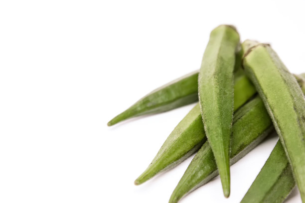 十指夫人或秋葵。白色的孤立的背景。空间的文本素材图片
