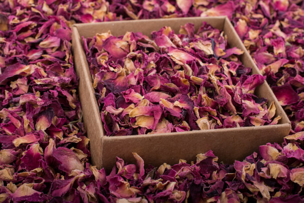 玫瑰花瓣照片素材ID：313232934