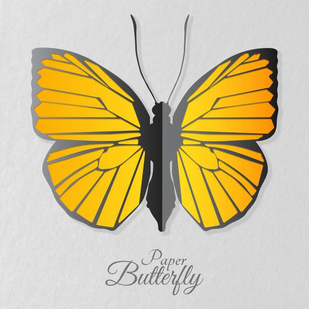 纸蝴蝶图片下载