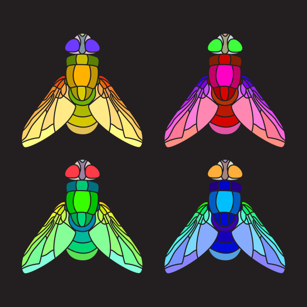 一组明亮的苍蝇图片下载