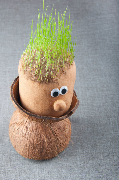 新鲜的绿草像头发一样从玩具人物身上长出来图片下载