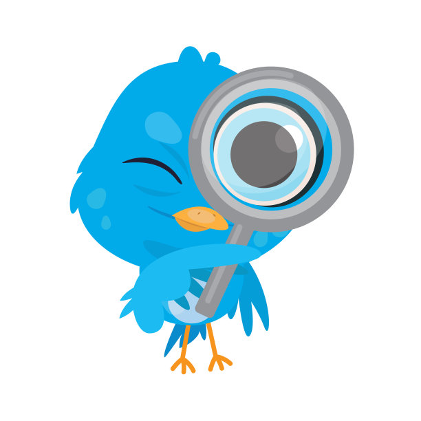 蓝色的鸟图片下载