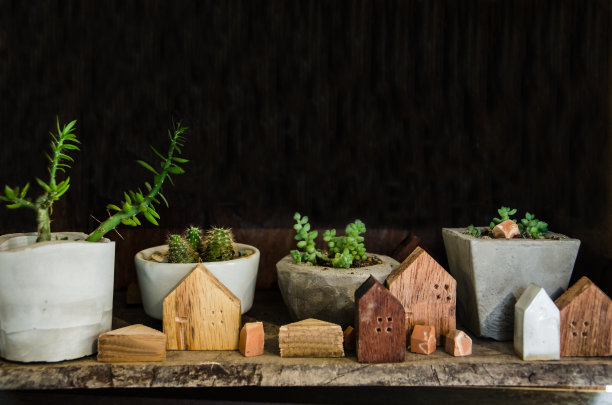 木架上的仙人掌花盆图片下载