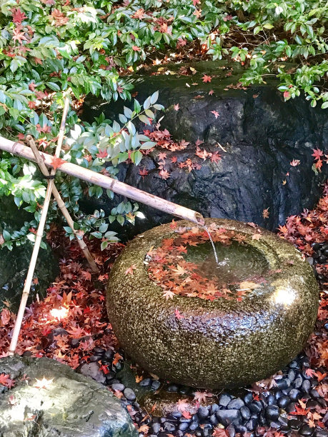 秋天来了。图片下载